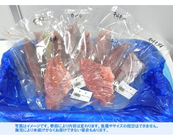 南房総 特選3品盛用約1kg出荷後翌日お届送料込